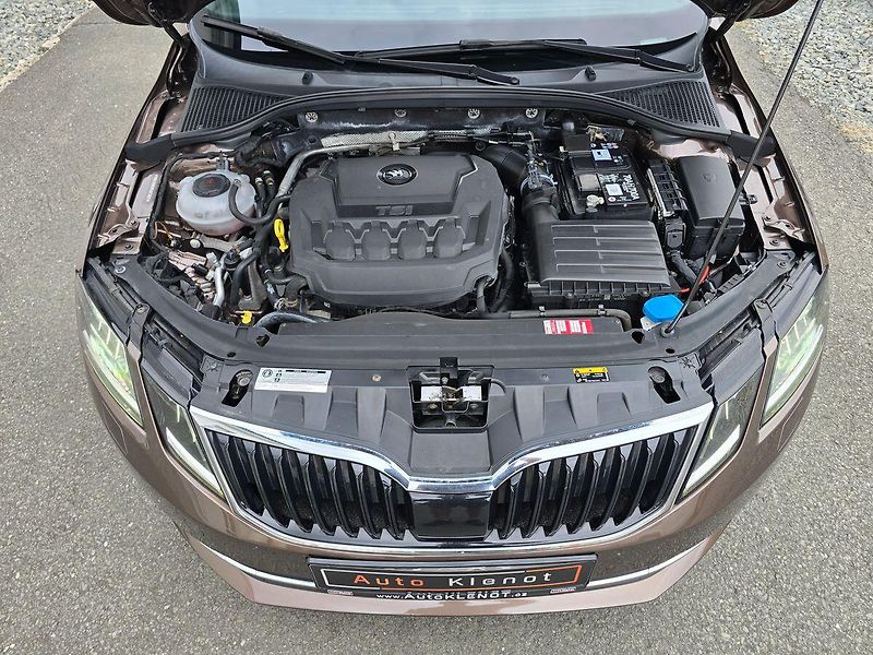 Škoda Octavia 2.0TSi 140kW DSG L&K 4x4 KŮŽE - fotka 38 z 38