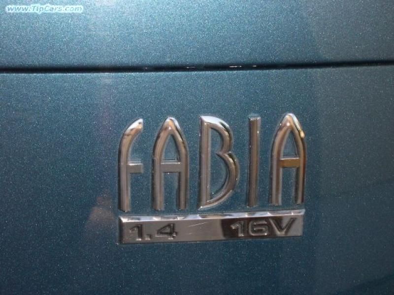ZKUŠENOSTI UŽIVATELE: Škoda Fabia Combi
