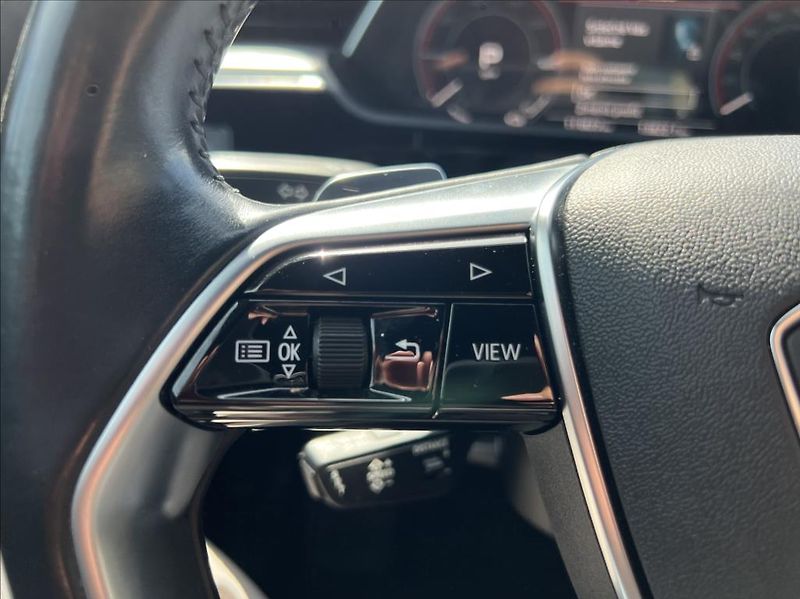 Audi e-tron 50 Quattro Proline Limited - fotka 24 z 38