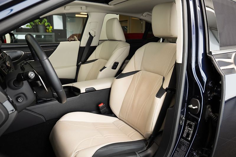 Lexus ES 300 H/MarkLevinson/360/Vyhřívaná/V - fotka 6 z 28
