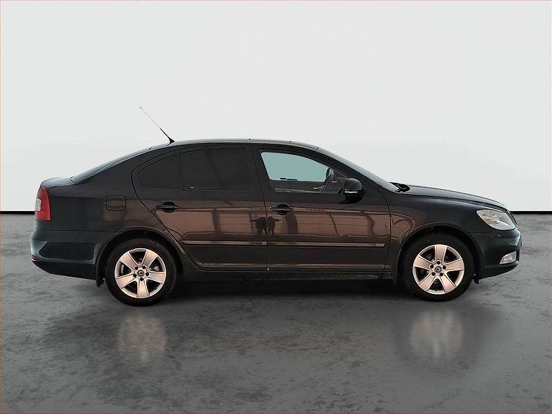 Škoda Octavia (2008) 1.9 TDI DPF, Tempomat - fotka 6 z 15
