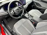 Škoda Octavia (2024) 1.5 TSI 110kW MHEV Selection D - náhled 6