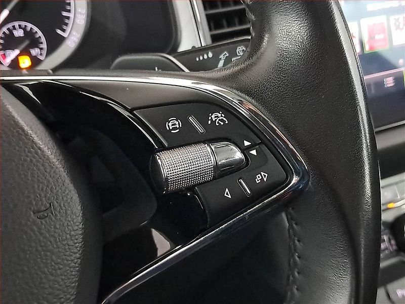 Škoda Kodiaq (2021) 2.0 TDI 4x4 - fotka 18 z 21