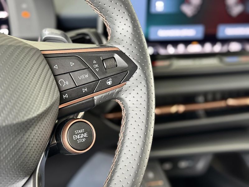 Cupra Terramar 2,0TSI VZ 265*4x4*DPH*Tažné - fotka 29 z 40