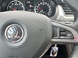 Škoda Rapid 1.2TSi 77kw KLIMA KOUPENO V ČR - náhled 17