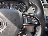 Škoda Fabia (2017) 1.4 TDI DSG - náhled 24