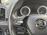Škoda Karoq 2,0 TDI 110 kW DSG DPH ČR - náhled 17