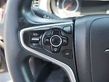 Opel Insignia (2016) 2.0 CDTi, ČR, AC, bixen - náhled 17