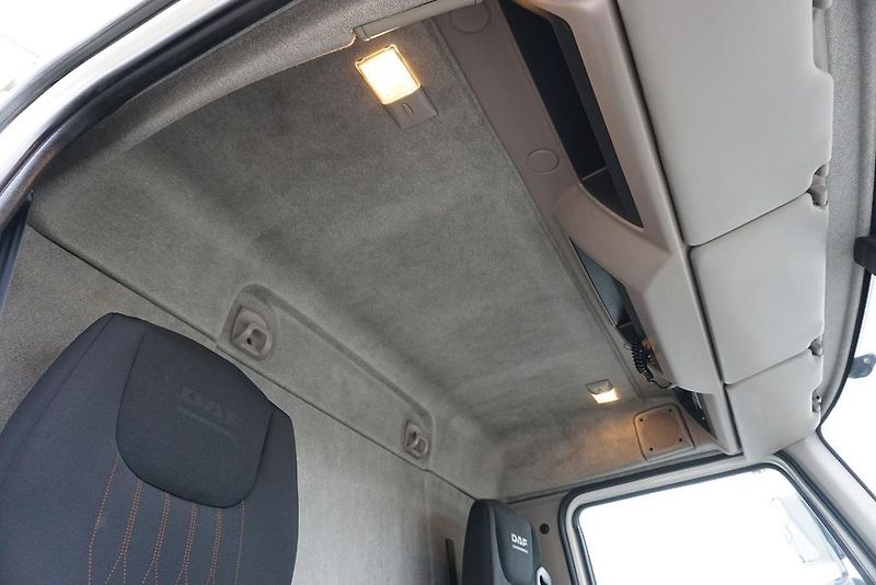 DAF LF (2019) 290 / E 6 / FIRANKA + WINDA /  - fotka 17 z 44