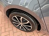 Škoda Octavia (2020) 2.0TDi DSG LED Navi Kamera - náhled 44
