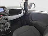 Fiat Panda (2024) 1.0 FireFly, Serv.kniha - náhled 8
