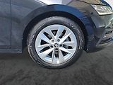 Škoda Octavia (2022) 2.0 TDI - náhled 14