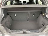 Ford Fiesta (2019) 1.0 EB, ST-Line, navi, kamera - náhled 8