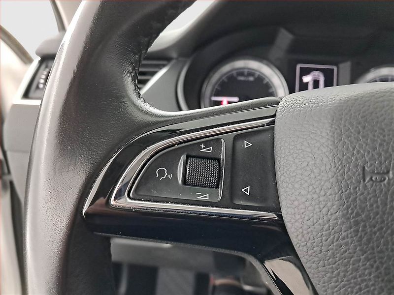 Škoda Octavia (2019) Style 2.0 TDI, Serv.kniha - fotka 17 z 18