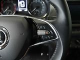 Škoda Fabia (2021) 1.0 TSi, 1.maj,ČR, AC, park - náhled 16