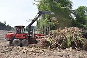 Na trase D11 Jaroměř - Trutnov skončilo kácení dřevin.