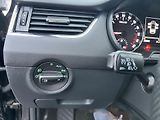 Škoda Octavia 2.0TDI 110KW,4x4,KůŽE,NAVI,XEN - náhled 34