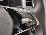 Škoda Kodiaq (2023) Ambition 2,0 Tdi 110 Kw 4x4 DS - náhled 33