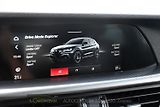 Alfa Romeo Stelvio 2.0T 16V 206kW VELOCE AT8 Q4 - náhled 39