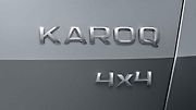 Škoda Karoq.