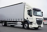 DAF LF (2019) 290 / E 6 / FIRANKA + WINDA /  - náhled 28