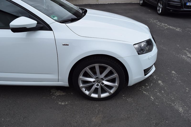 Škoda Octavia (2016) 2.0TDI 110kw ED. JOY BIXEN TAŽ - fotka 5 z 48