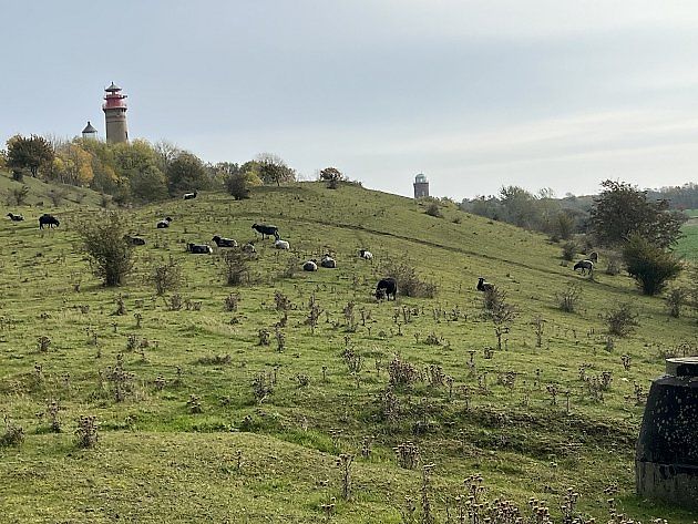 Podzimní Rujána obytným autem, zdroj: Deník/Viola Procházková