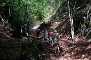 Do Súľovských skal je možné vyrazit z obcí Súľov-Hradná, Hričovské Podhradie, Hluboké nad Váhem, Hrabové a Jablonové.