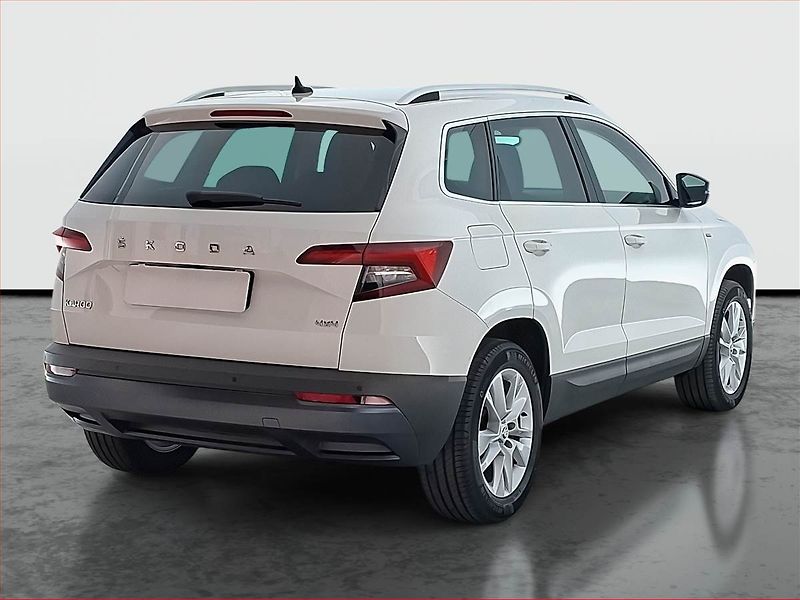 Škoda Karoq (2020) 2.0 TDI - fotka 5 z 19