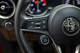Alfa Romeo Stelvio Q4 2.2 JTD 154 kW - náhled 12