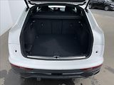 Audi Q5 2,0 TDI quattro S line  Sportb - náhled 23