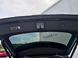 Audi Q8 (2026) SUV 50 TDI quattro - náhled 8