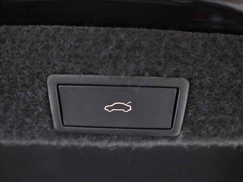 Škoda Octavia 2,0 TDI DSG Top Selection DPH - fotka 10 z 27