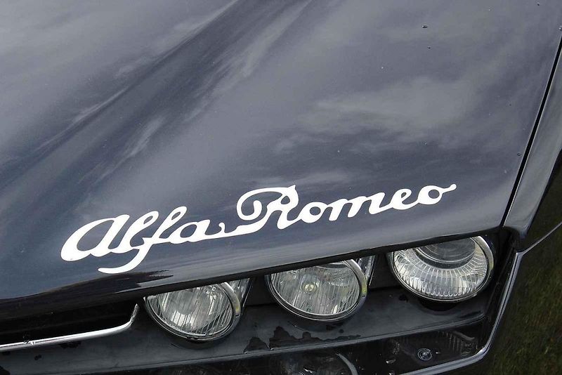 Nultý ročník srazu vozů Alfa Romeo v Jihočeském kraji.