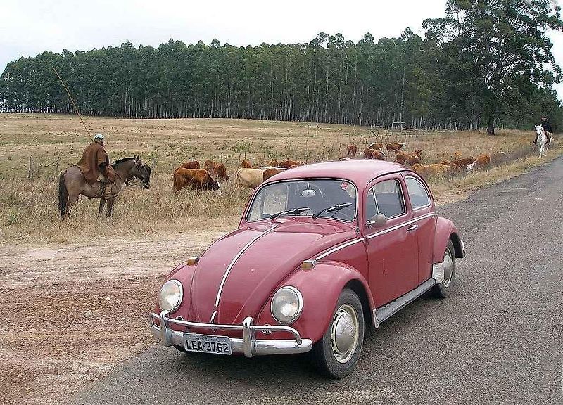 Volkswagen Golf Variant.