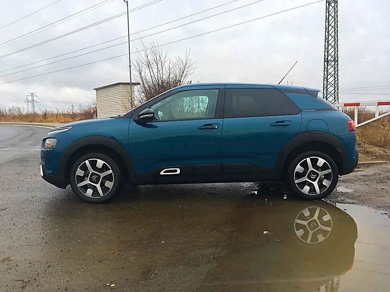 Citroën C4 Cactus.