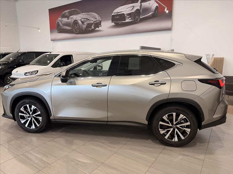 Lexus NX 350h (2025) 2,5 Executive  NX - fotka 2 z 12
