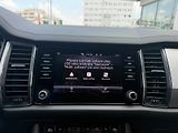 Škoda Kodiaq Ambition Plus 2.0 TDI 110kW DS - náhled 13