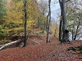 Bukové lesy národního parku Jasmund jsou zapsány na seznam UNESCO.