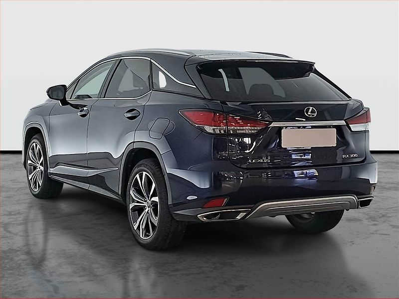 Lexus RX 400h (2023) 300 AWD - fotka 4 z 22
