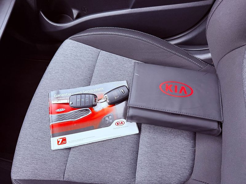 Kia Stonic 1.4 Edition 7, Serviska, 1.Maj - fotka 21 z 24