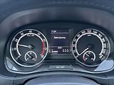 Škoda Fabia 1,0 TSI 95PS  Ambition Top - náhled 38