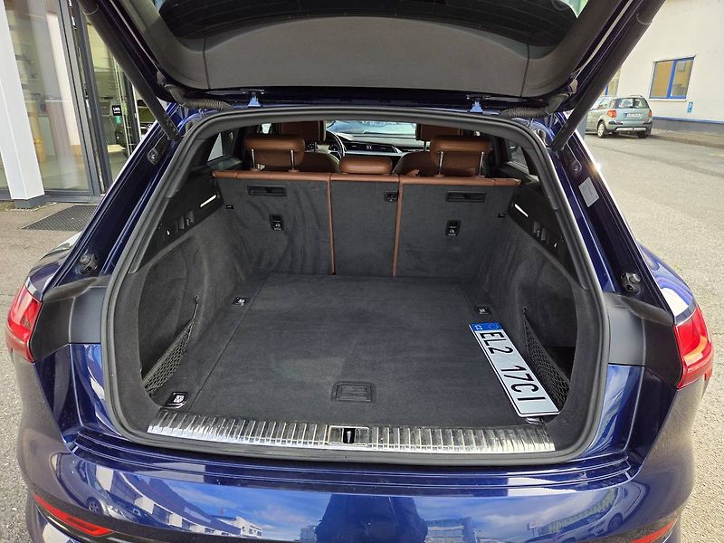 Audi e-tron (2021) Quattro 300kW Advanced - fotka 39 z 48