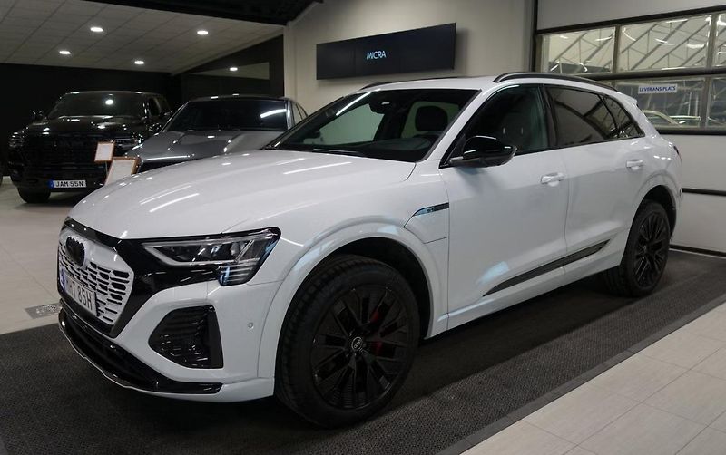 Audi Q8 e-tron 55 Q 360k Pano Tažné 4 zóny - fotka 1 z 6