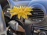 Volkswagen New Beetle Highline 2.0 - náhled 18
