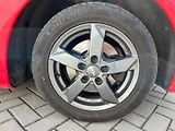 Volkswagen New Beetle (1999) 1.9TDi 66kW - náhled 19