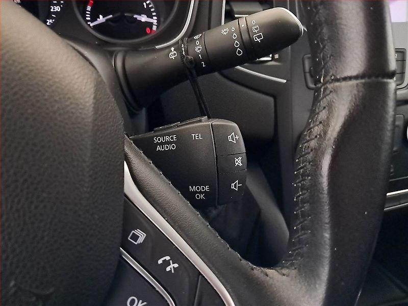 Renault Mégane (2018) 1.6 SCe, Xenony, Tempomat - fotka 17 z 17