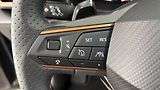Cupra Formentor 2.0 TSI DSG 4Drive - náhled 14