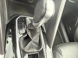 Renault Koleos (2017) 2.0 dCi 4x4 Initiale Paris  - náhled 17
