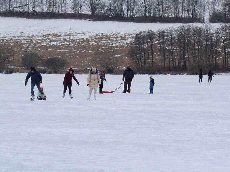 U Horní Plané se na zamrzlém Lipně vesele bruslí. Sem tam tudy ale na druhý břeh přejede i auto. Jen o pár set metrů dál přitom stále jezdí přívoz.